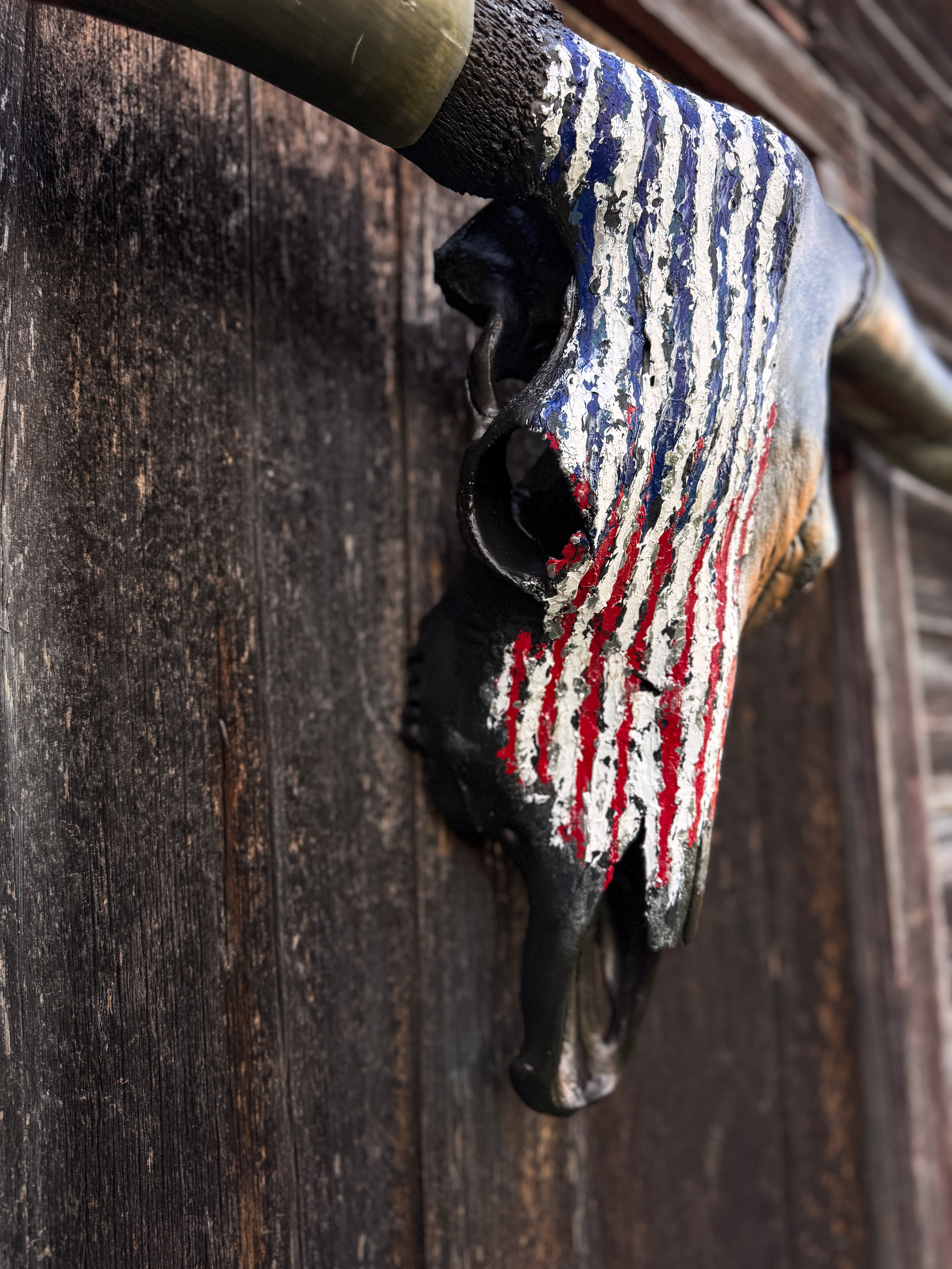 Where Eagles Fly