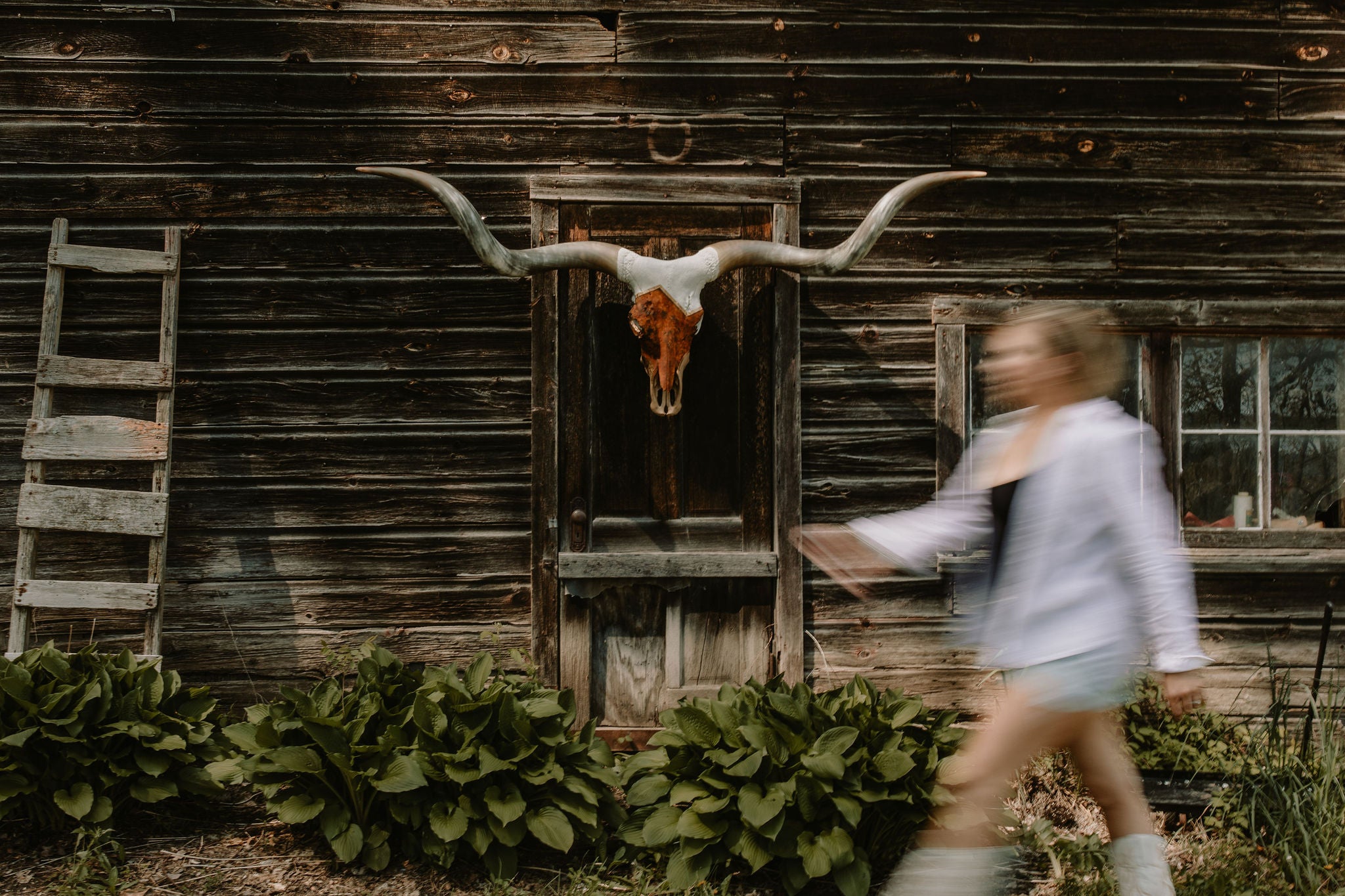 Blurry slow exposure of a women walking past a longhorn cow skull on an old log cabin