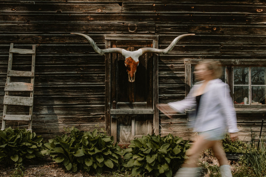 Spirit of the West