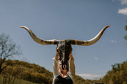 Into the Night Longhorn