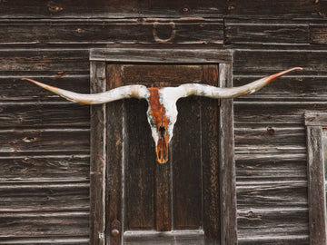 Cowpoke
