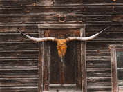The Ledoux