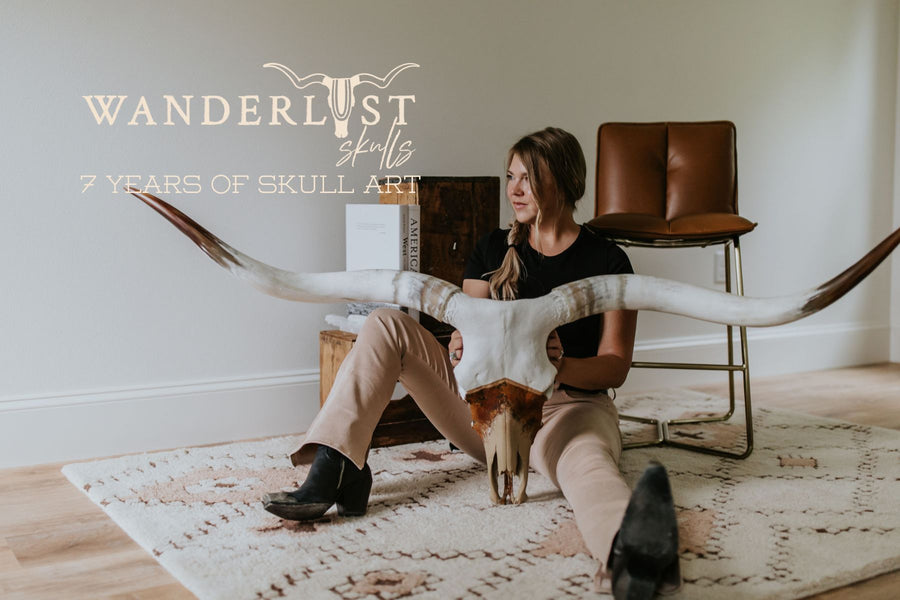 7 Year Celebration // Longhorn Skull
