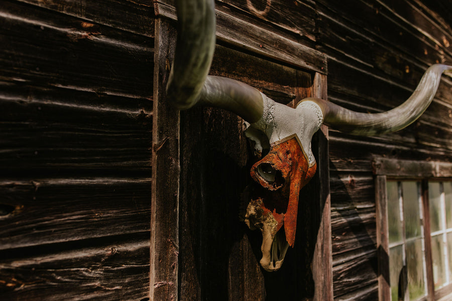 Spirit of the West