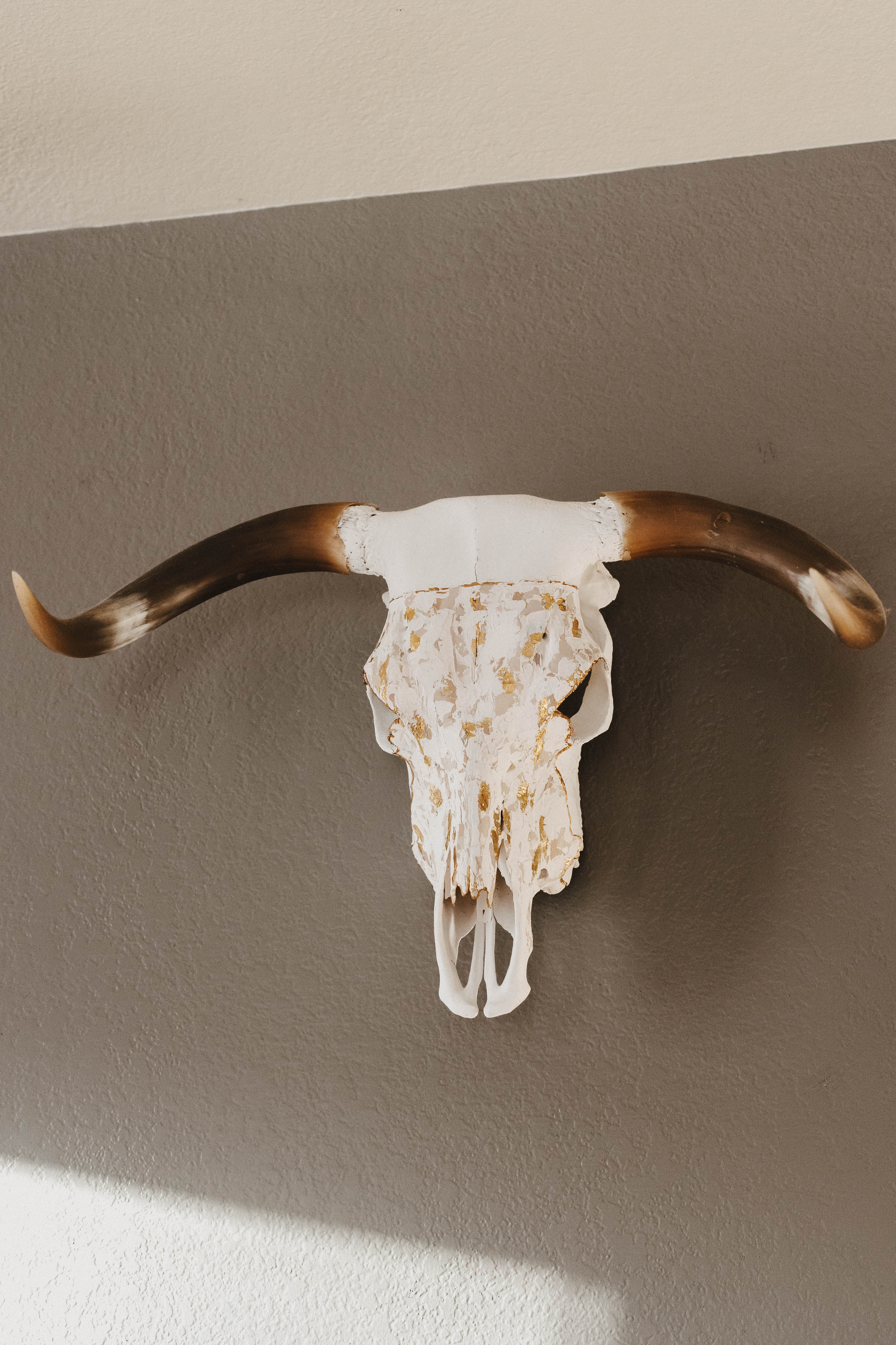 Longhorn skull with with brown horns and white and gold face on a brown wall