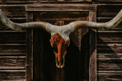 Spirit of the West
