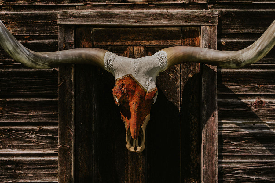 Spirit of the West