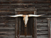 Long Reach in Open Country