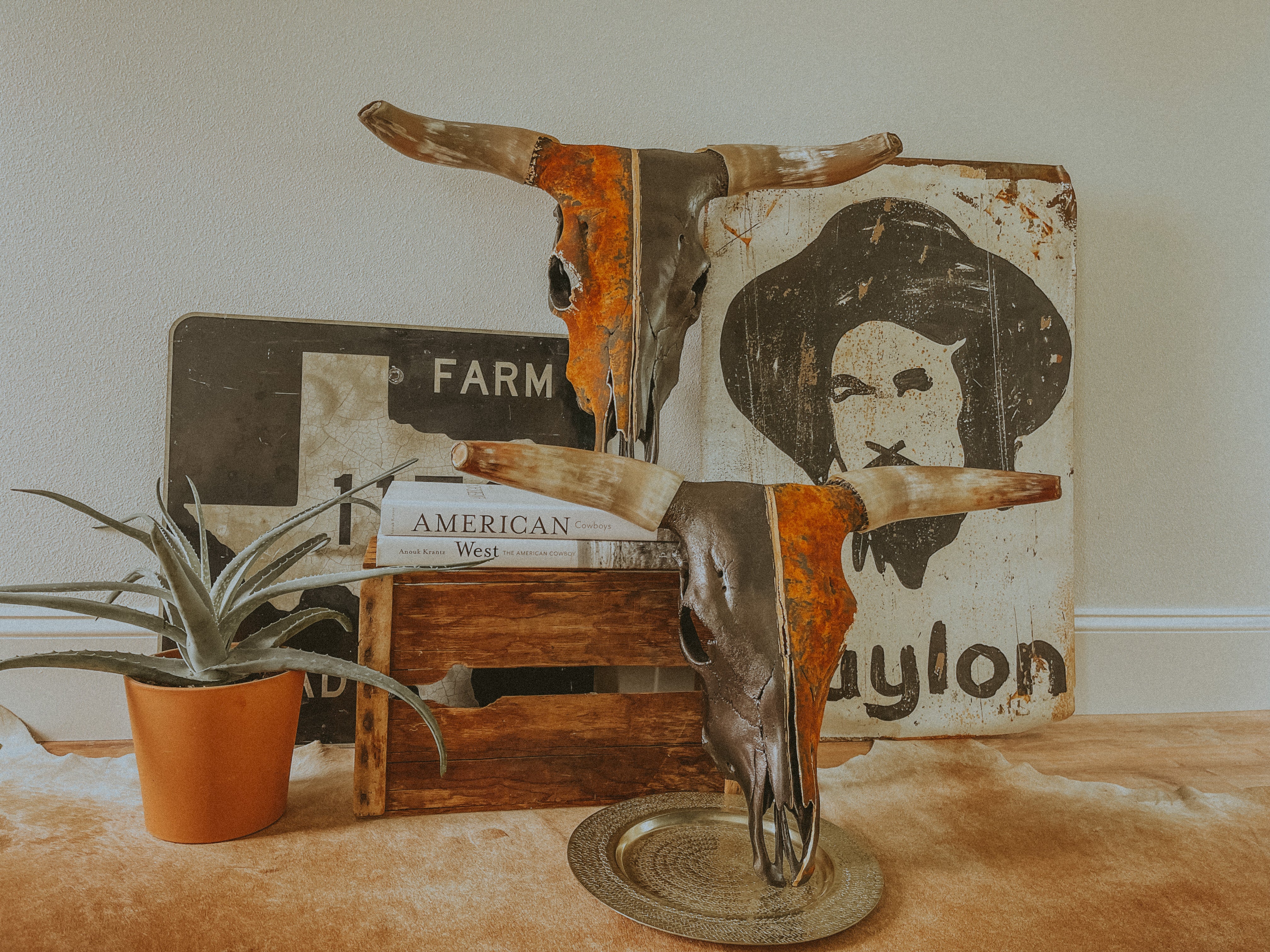Two rust and copper painted longhorn cow skulls sitting by signs