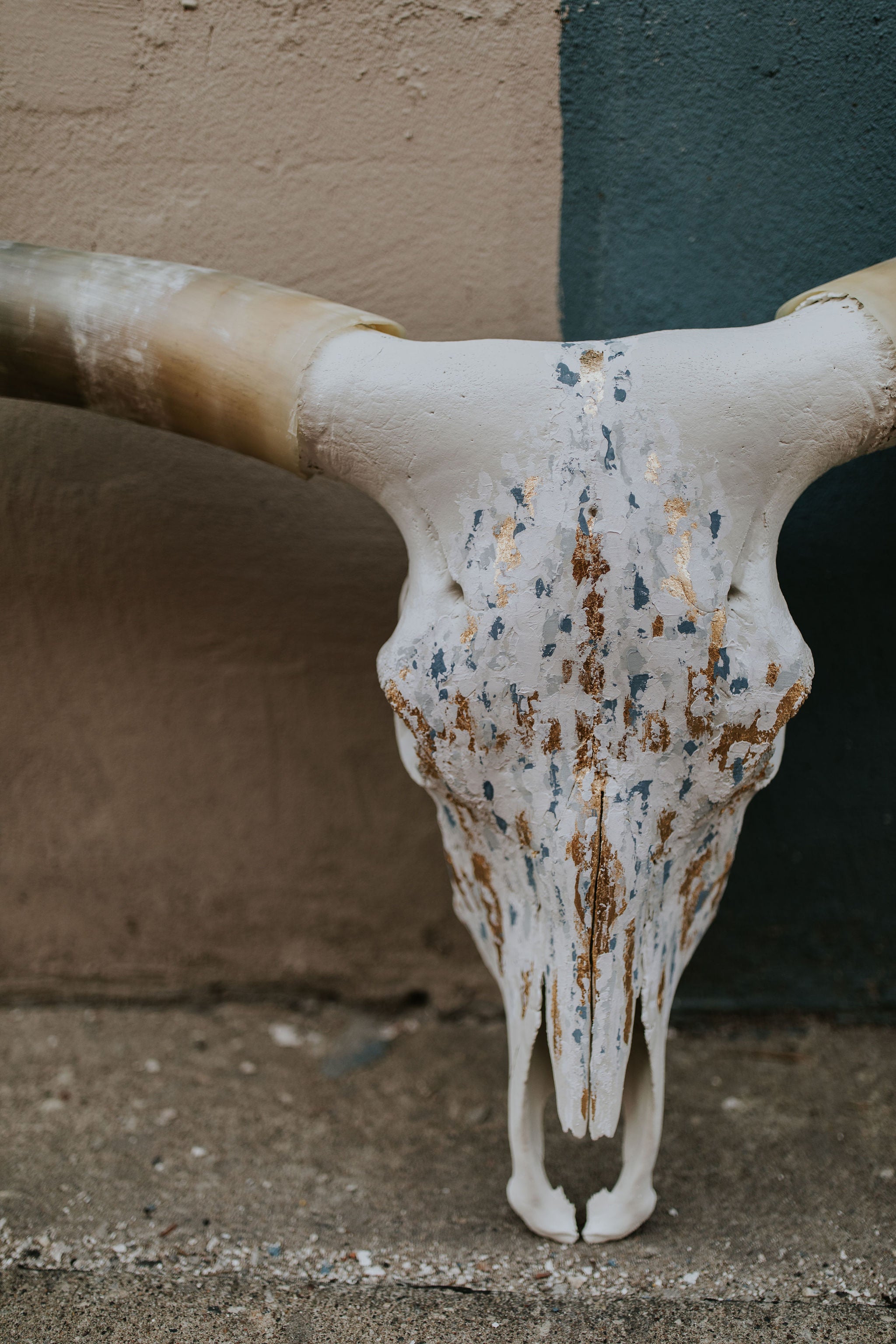 A weathered white longhorn skull with long curved horns, featuring distressed brown, black, and blue speckles, set against a split beige and dark green textured wall.