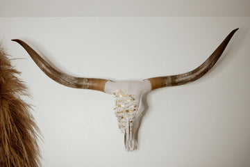 Horizon Between Silence