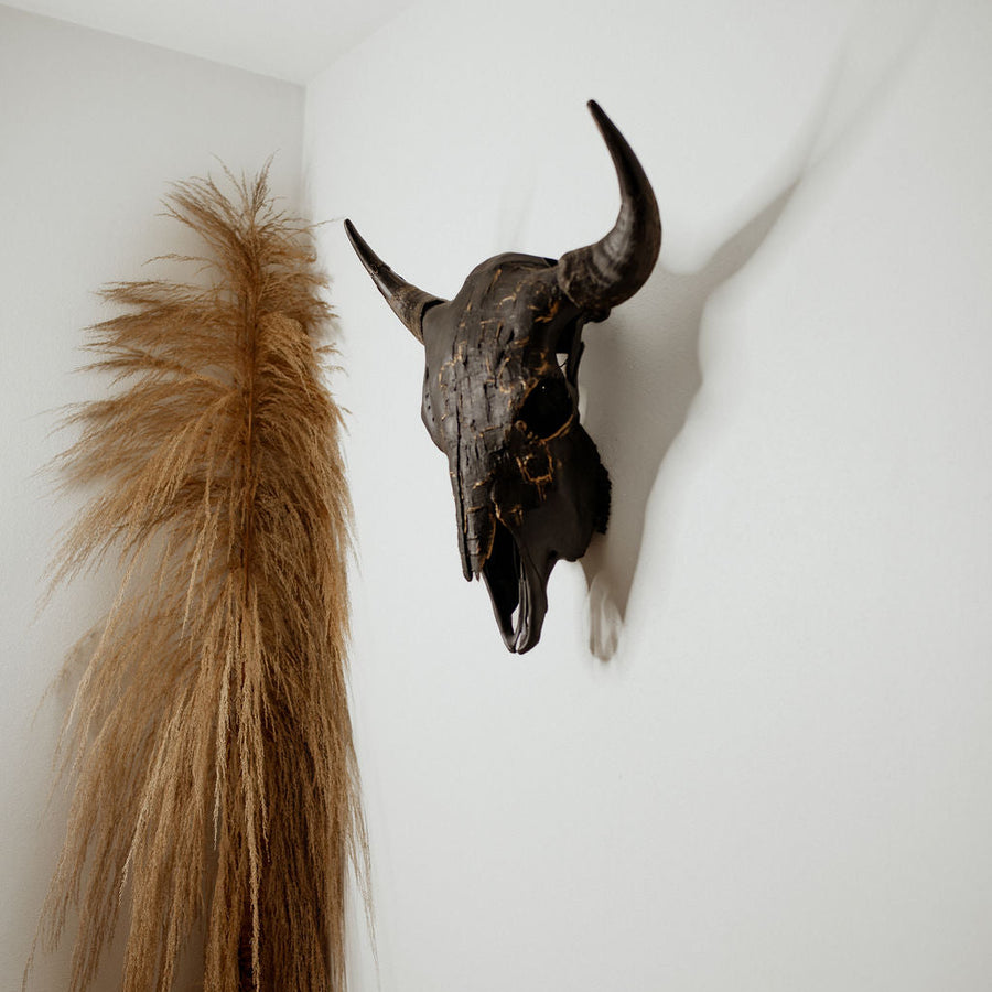 Buffalo skull with a stone black base heavy black texture and gold