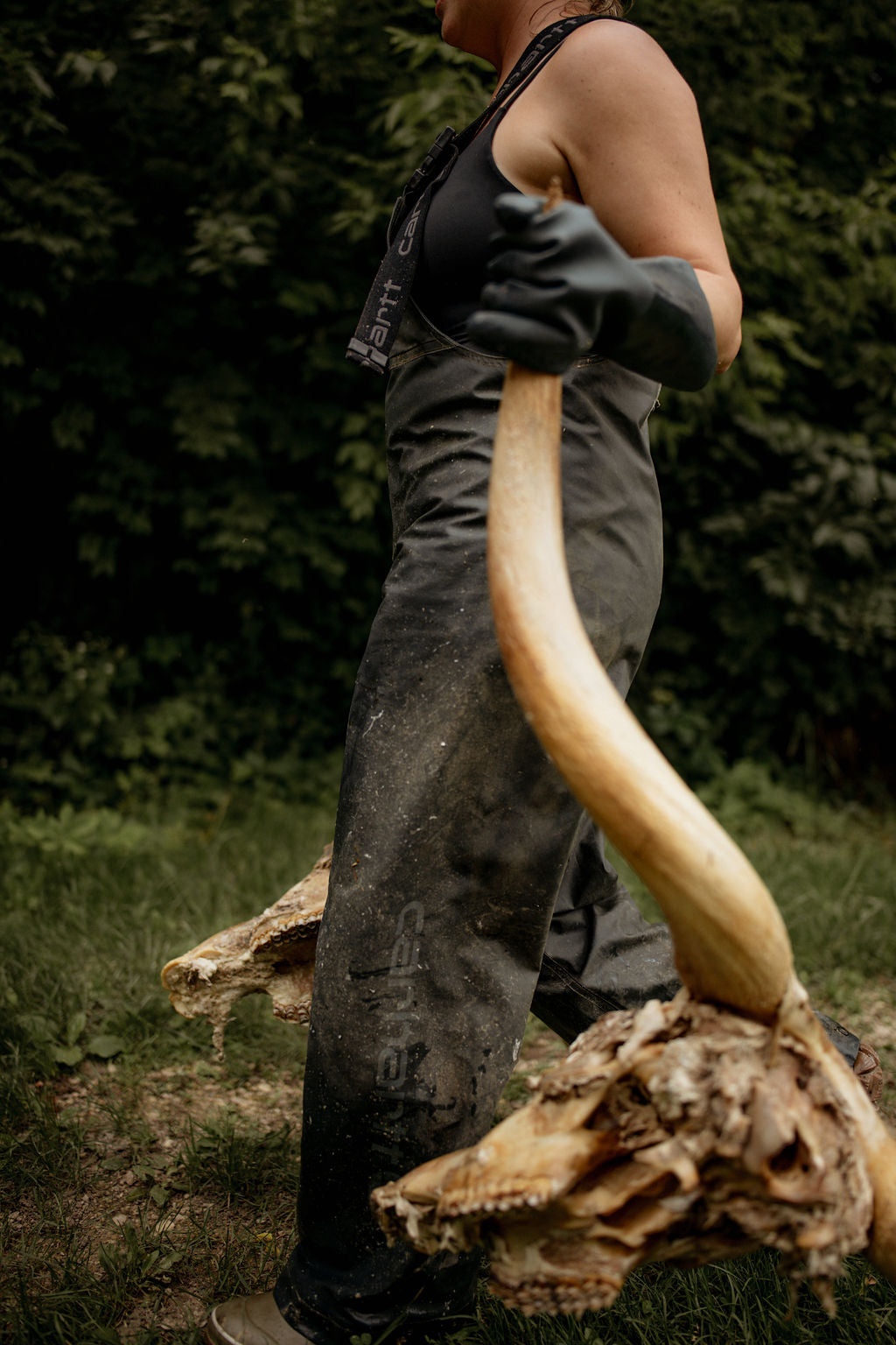 Person holding a large animal skull outdoors with greenery in the background