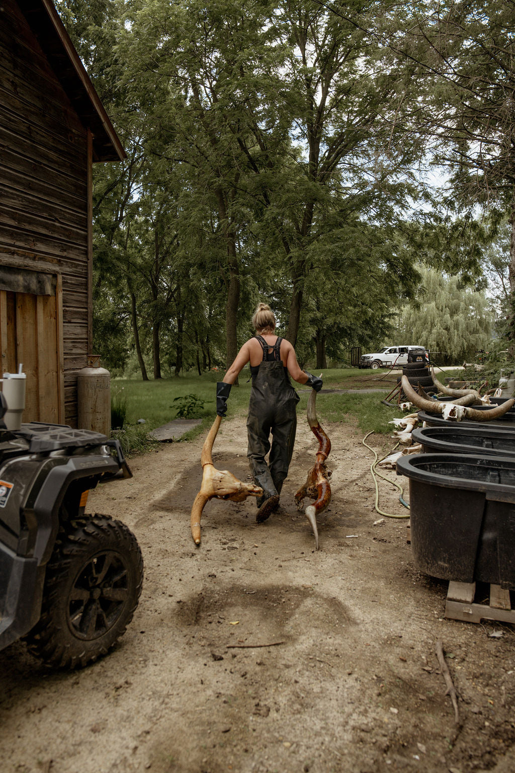 Person cleaning longhorn skulls at a farm near a wood building