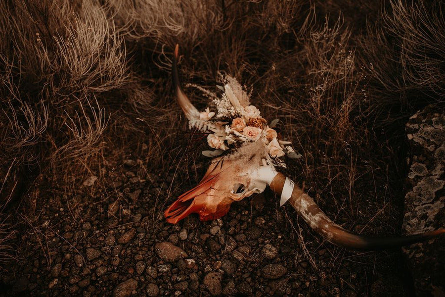 The High Desert Queen