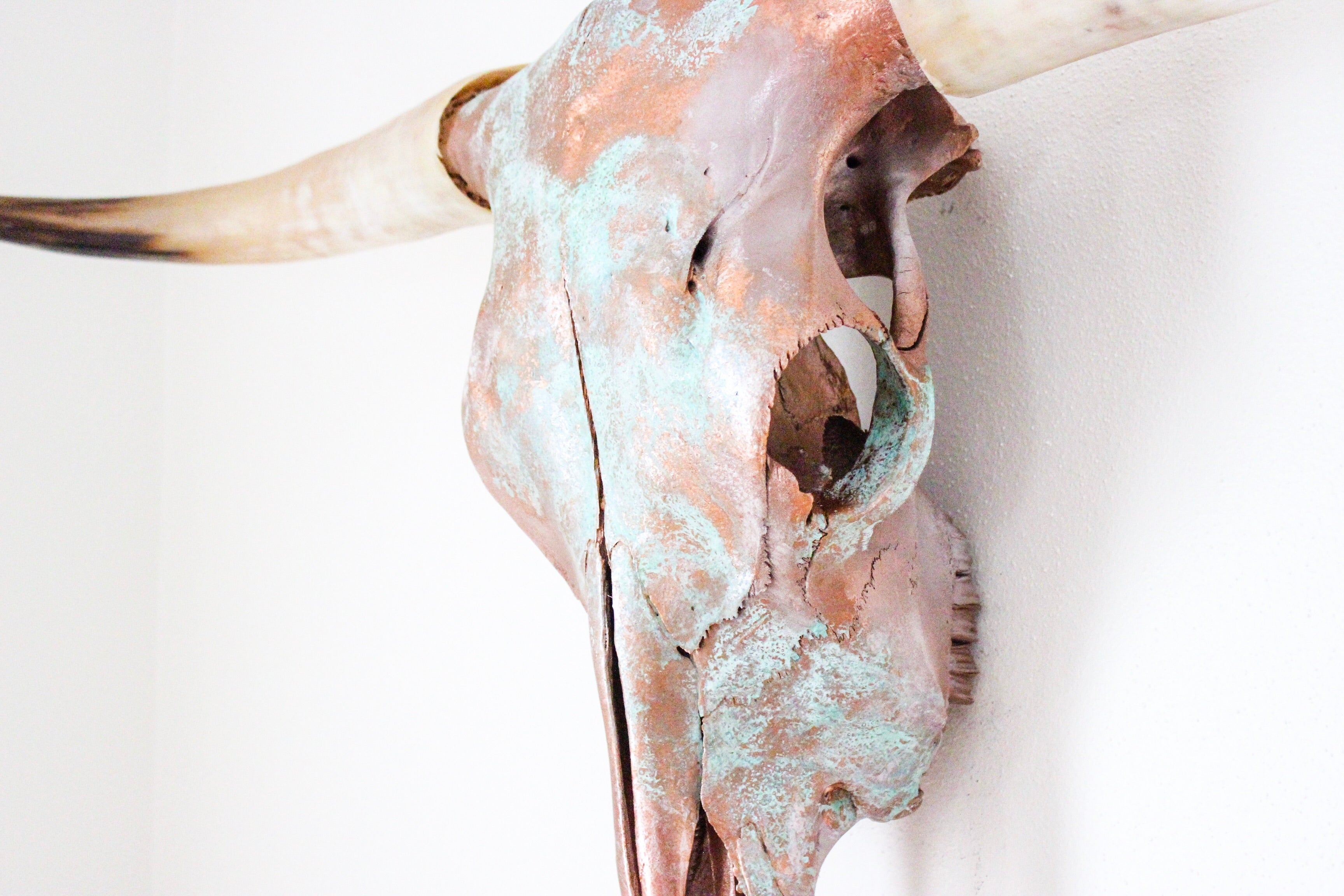 The Catalda Longhorn
