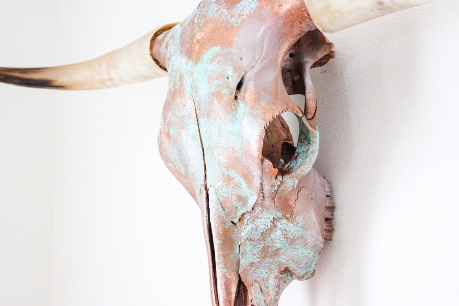 The Catalda Longhorn