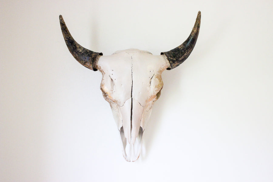 The Subtle Life Skull