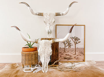 Coastal Cowgirls Set