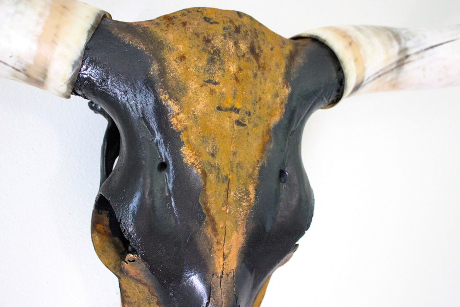 LNS Longhorn 5