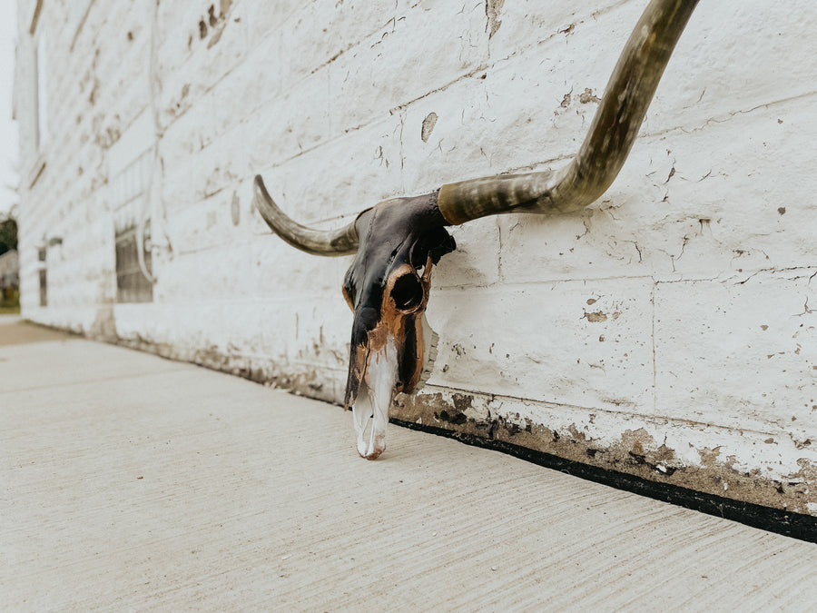 One of One // For Travis Austin Customs