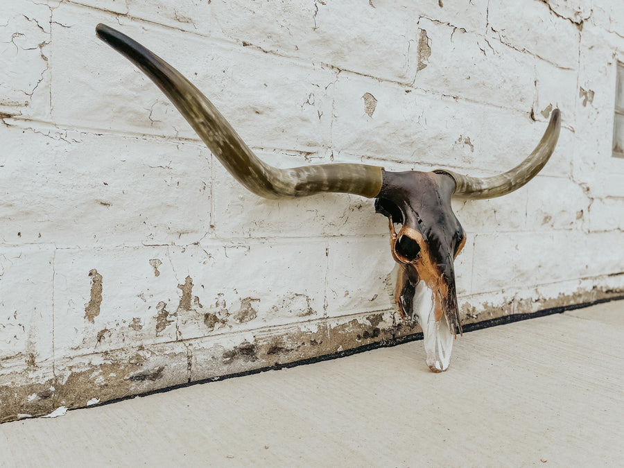 One of One // For Travis Austin Customs