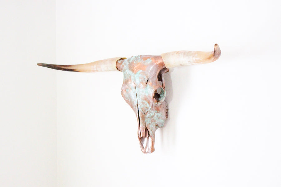 The Catalda Longhorn