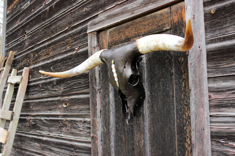 The Rise Up Longhorn