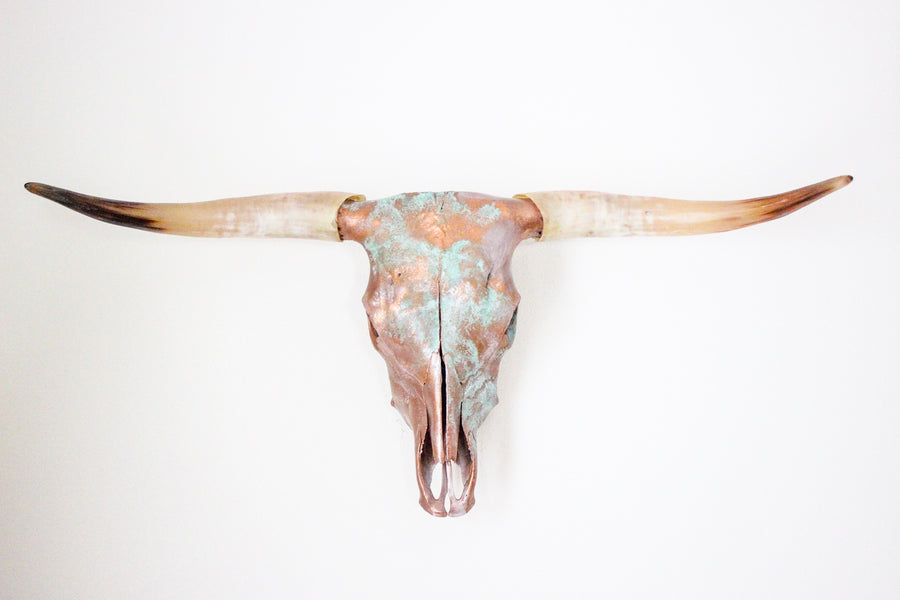 The Catalda Longhorn
