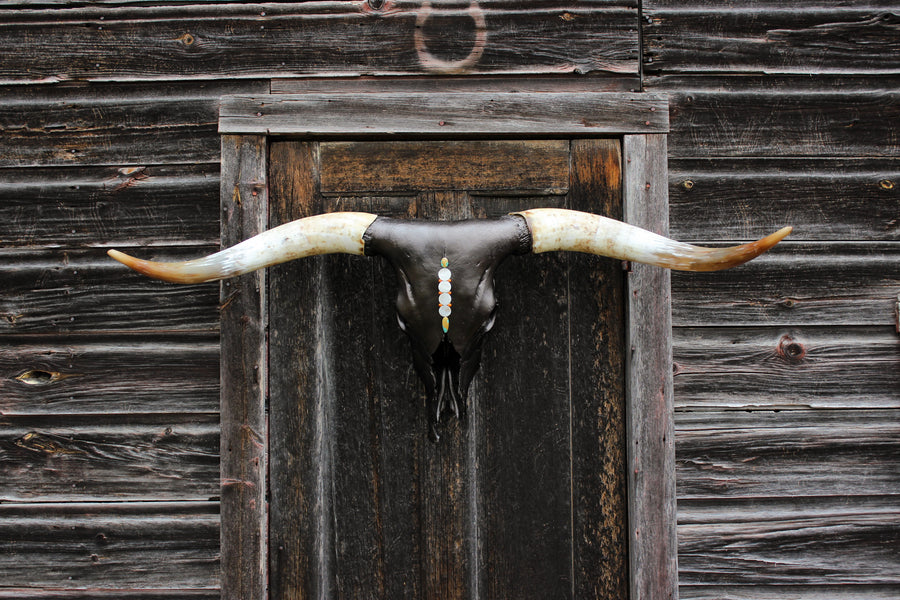 The Rise Up Longhorn