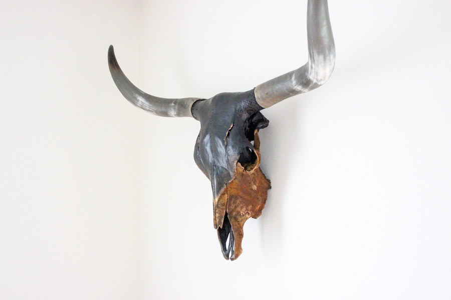 LNS Longhorn 4