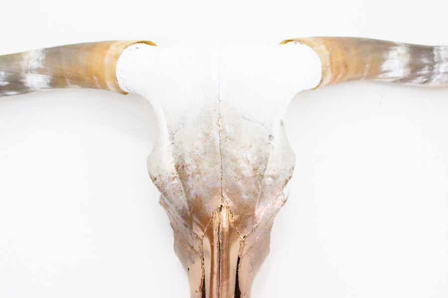 The Golden Hour Longhorn