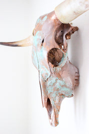 The Catalda Longhorn