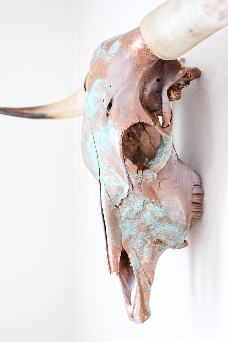 The Catalda Longhorn