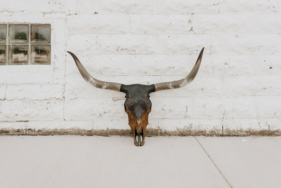 LNS Longhorn 4